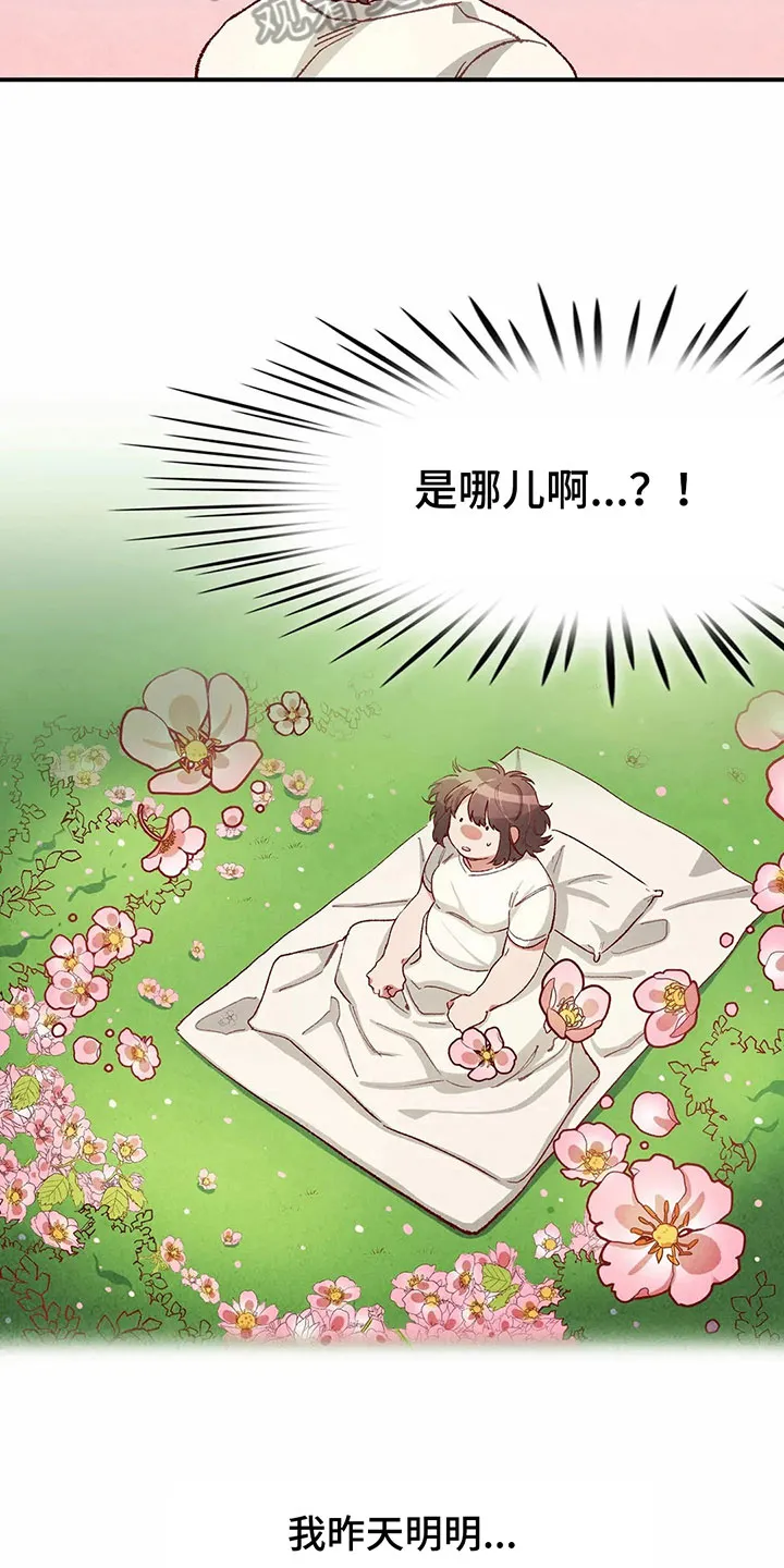争宠精灵使漫画漫画,第34章：似梦非梦2图