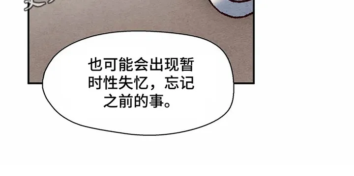 漫画后宫争宠漫画,第15章：失忆19图