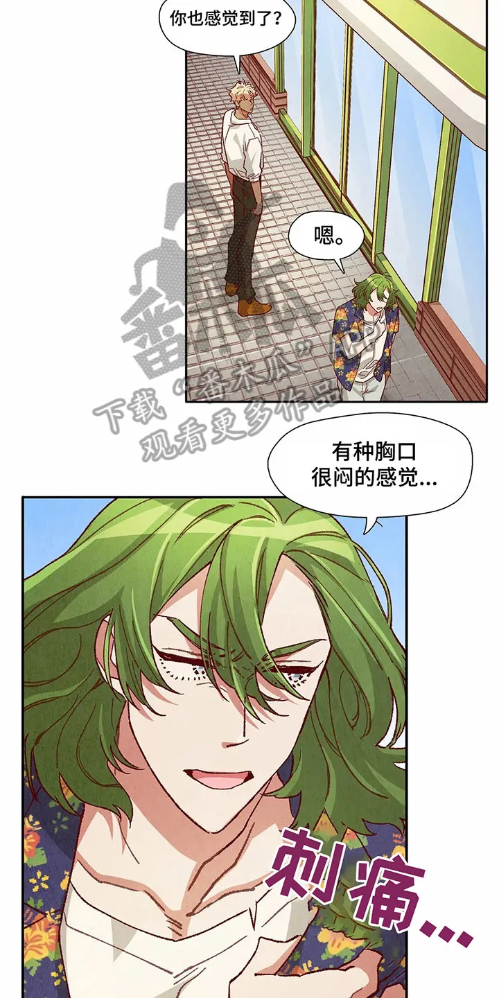 争宠精灵使漫画漫画,第29章：等待礼物12图