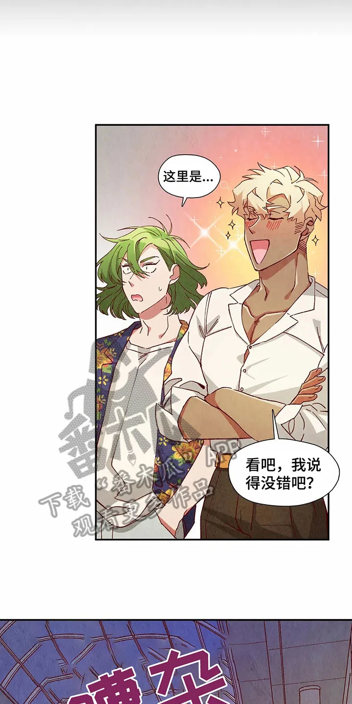 争宠精灵使漫画漫画,第39章：主意14图