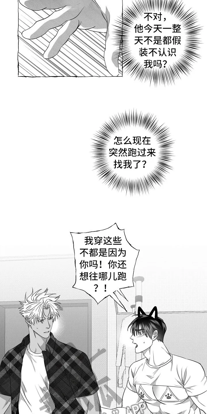 我的真心石漫画,第27章：决心13图