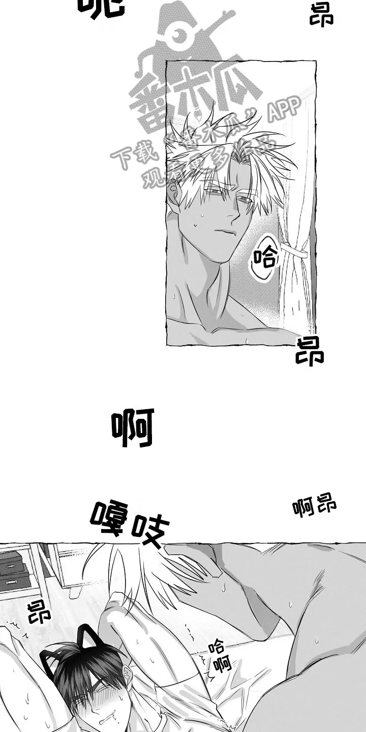 我的真心实意漫画在线观看全集漫画,第28章：破例配合16图