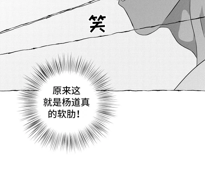 我的真心在哪漫画,第21章：软肋19图