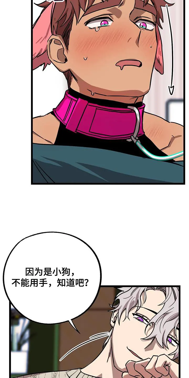 你不要坏坏漫画漫画,第72章：【第二季】做个了断7图