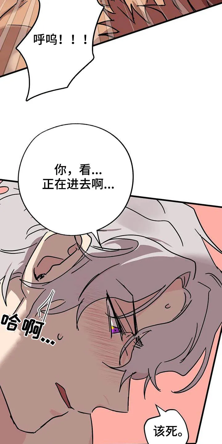 你不要坏坏漫画漫画,第38章：多多关照12图