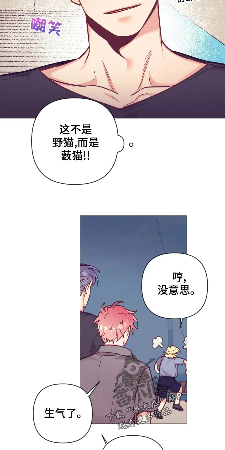 垂耳执事漫画在哪里看漫画,第122章：小野猫20图