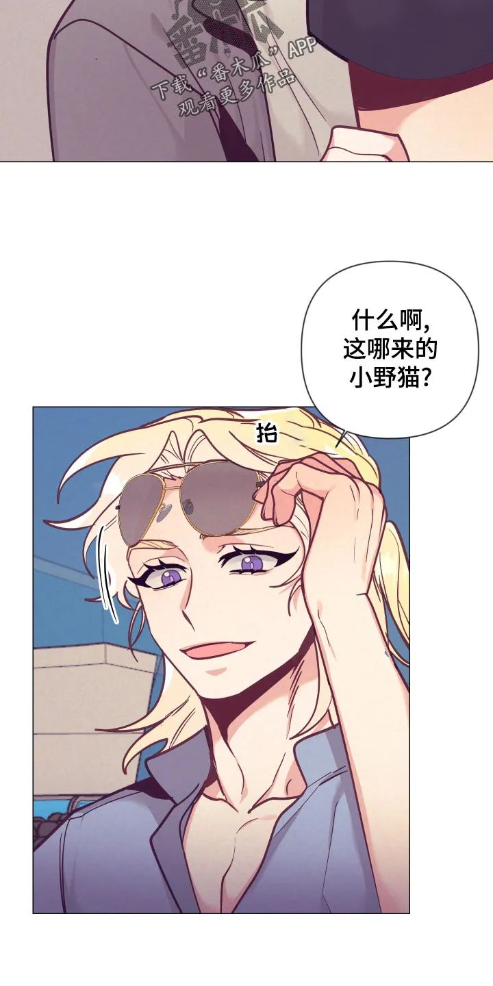垂耳执事漫画在哪里看漫画,第122章：小野猫7图