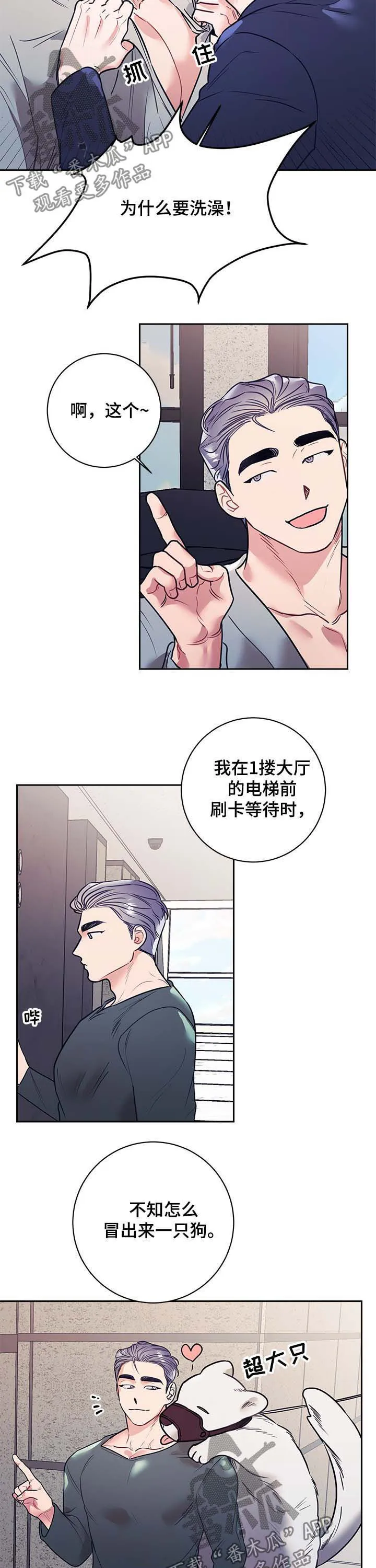 垂耳执事漫画在哪里看漫画,第21章：公主9图