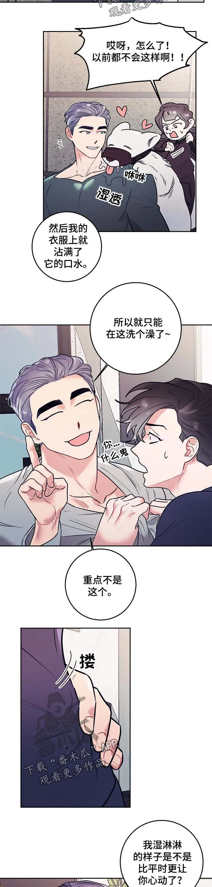 垂耳执事漫画在哪里看漫画,第21章：公主10图