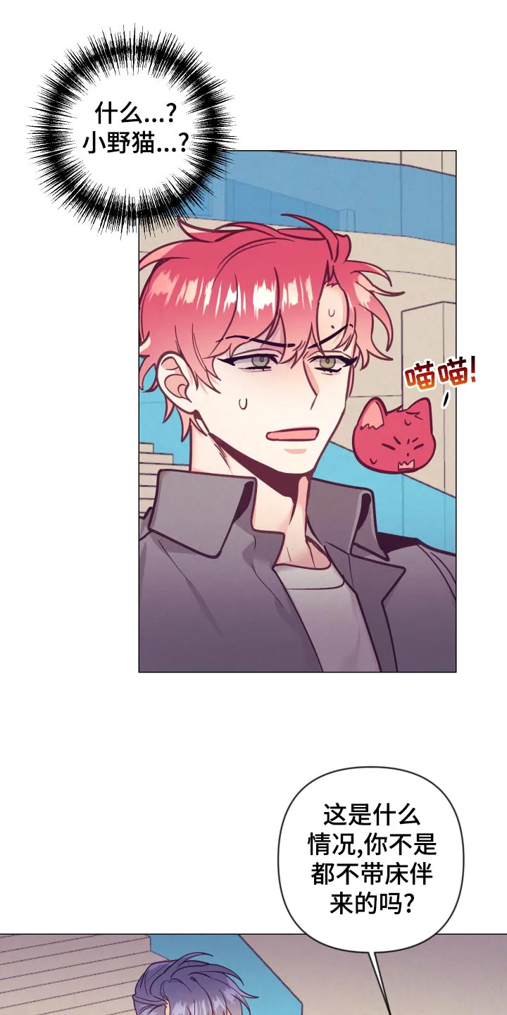 垂耳执事漫画在哪里看漫画,第122章：小野猫8图