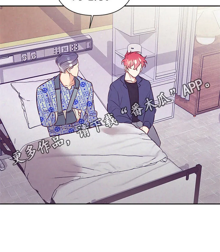 垂耳执事漫画在哪里看漫画,第66章：计划好了12图
