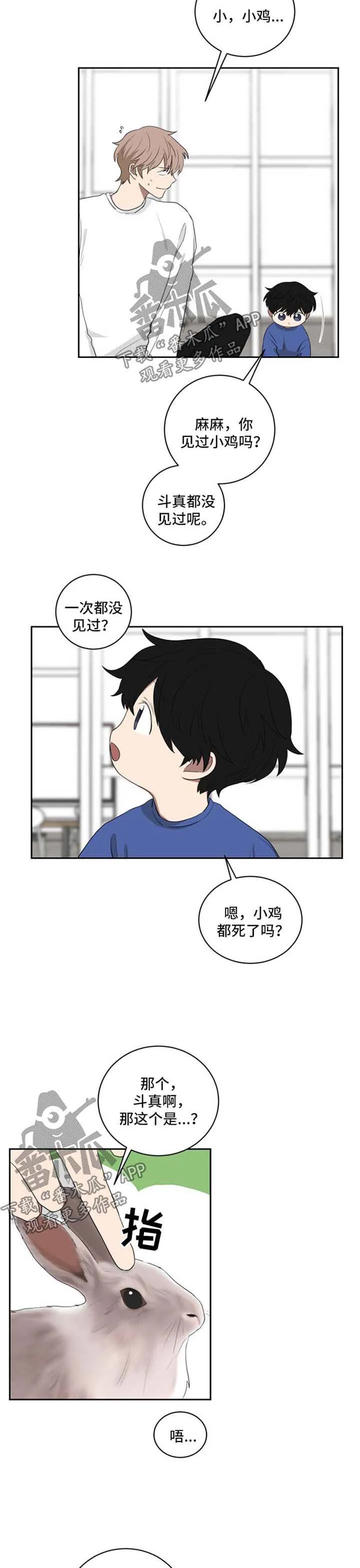 只要你喜欢漫画漫画,第37章：想去动物园3图