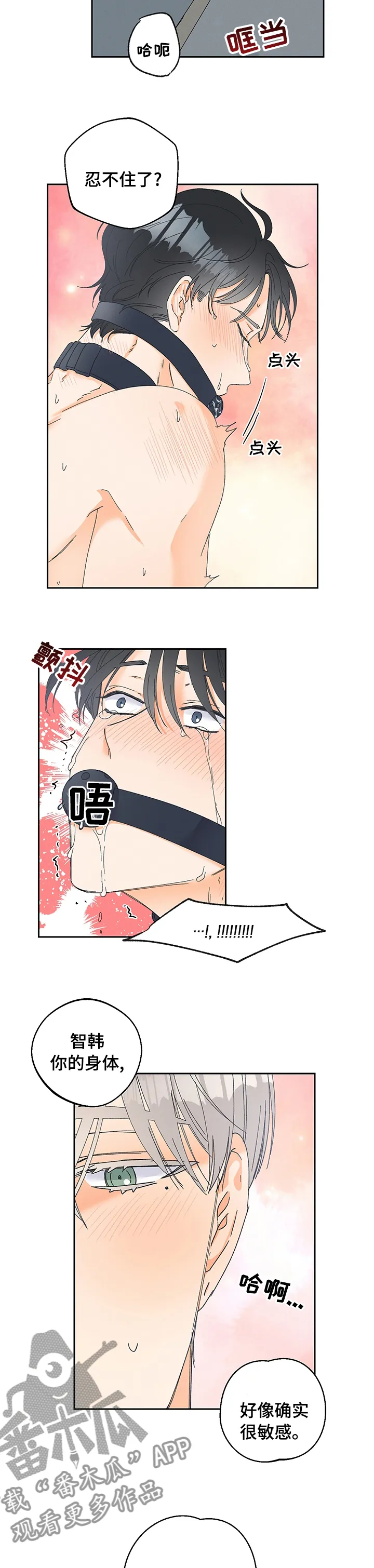暗恋测试员漫画漫画,第86章：【番外】下次用什么呢（完结）4图