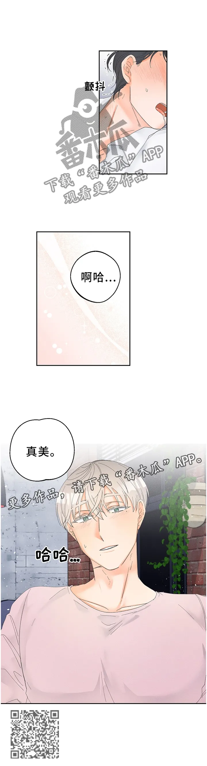 第59章：视频教学11