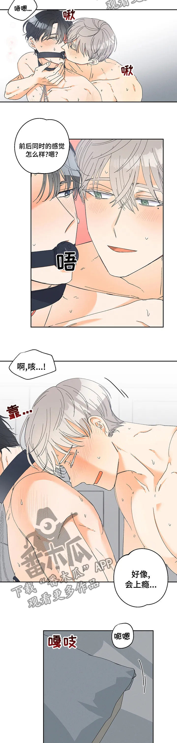 暗恋测试员漫画漫画,第86章：【番外】下次用什么呢（完结）3图