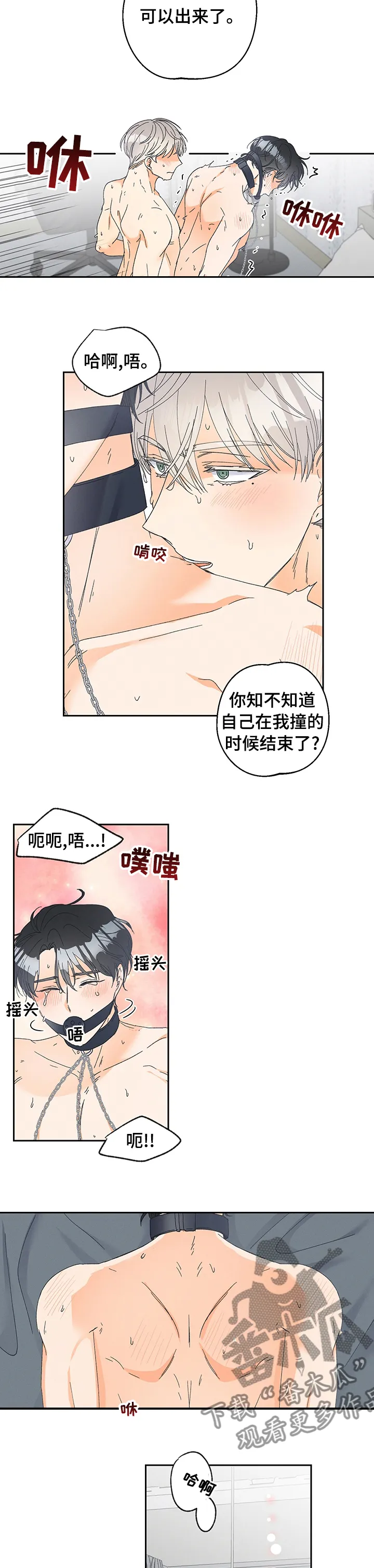 暗恋测试员漫画漫画,第86章：【番外】下次用什么呢（完结）5图