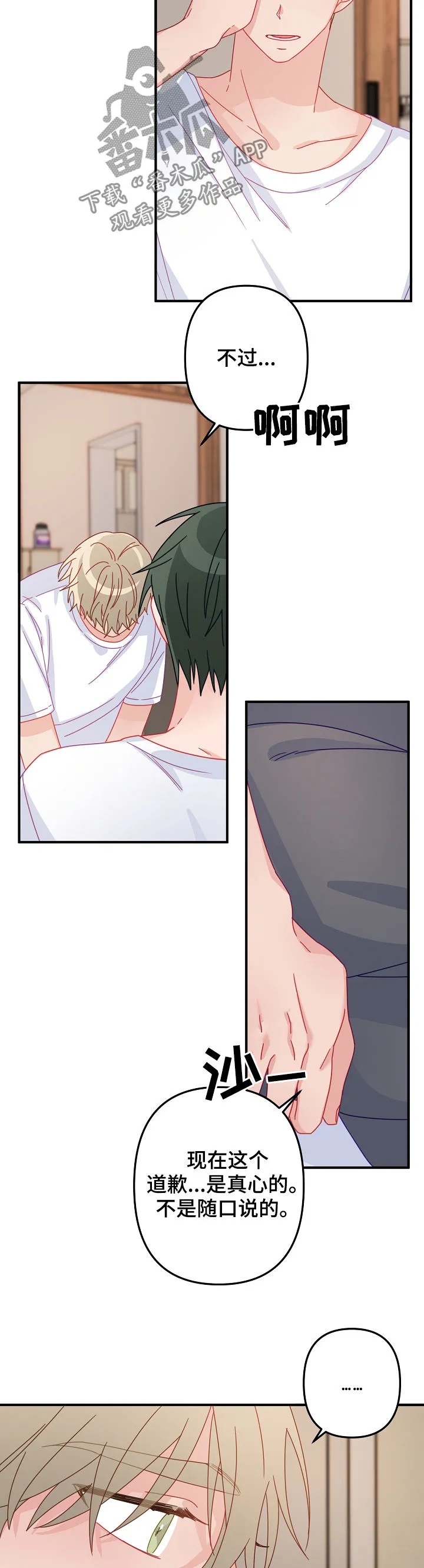 主刀医生漫画漫画,第39章：道歉5图
