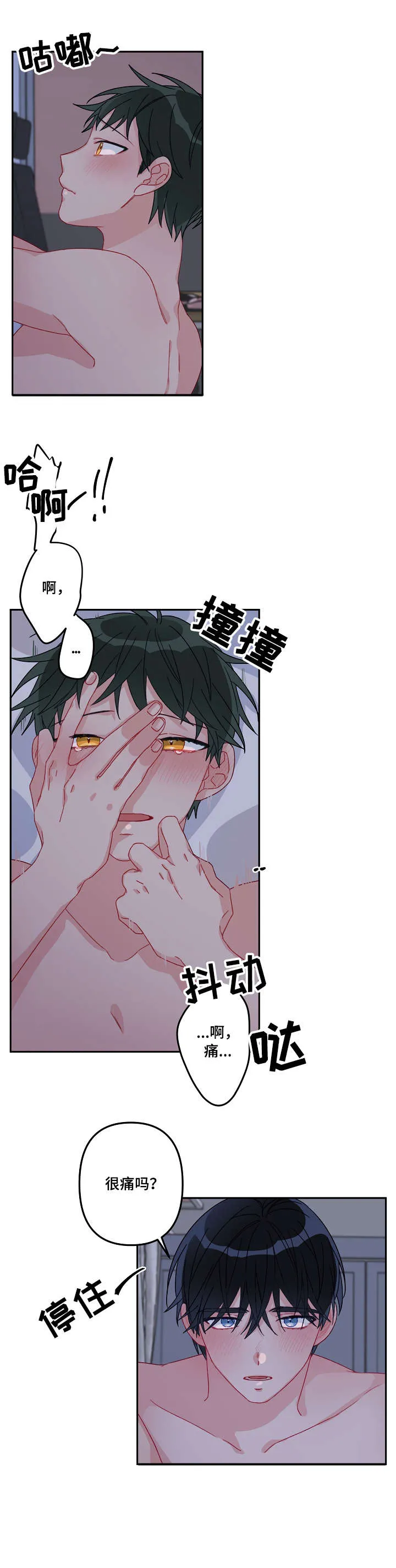 主刀医生漫画漫画,第18章：喜欢你1图