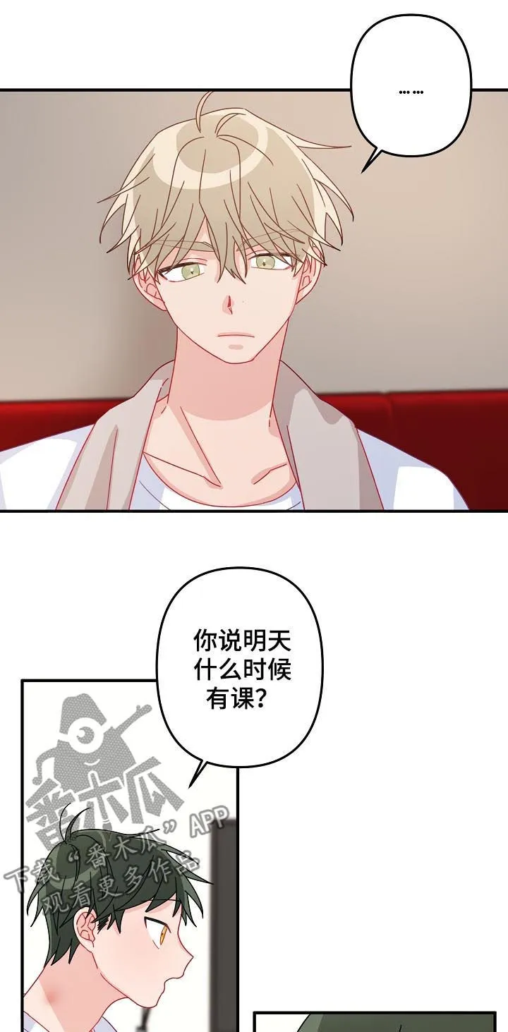 主刀医生月入几十万漫画,第33章：借宿12图