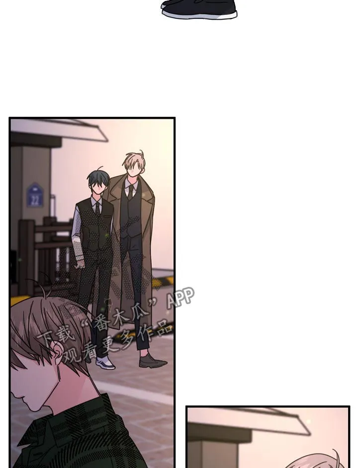 外科医生漫画漫画,第65章：【第二季】撮合2图