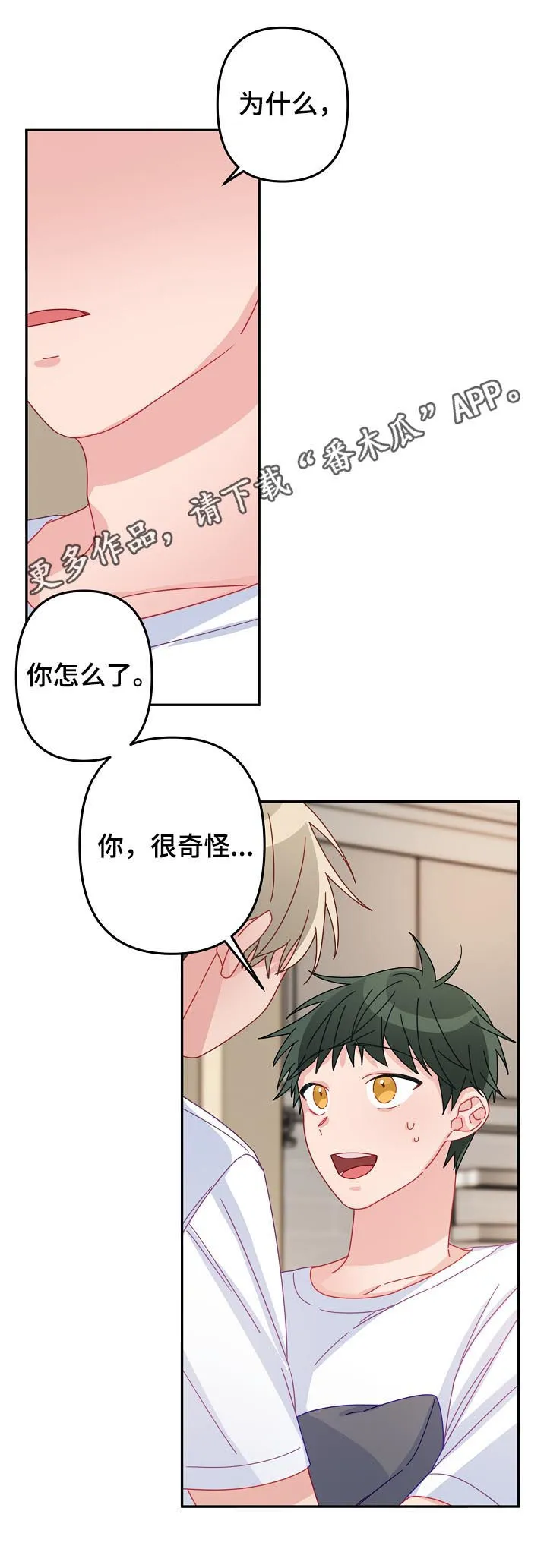 主刀医生漫画漫画,第37章：你说什么1图