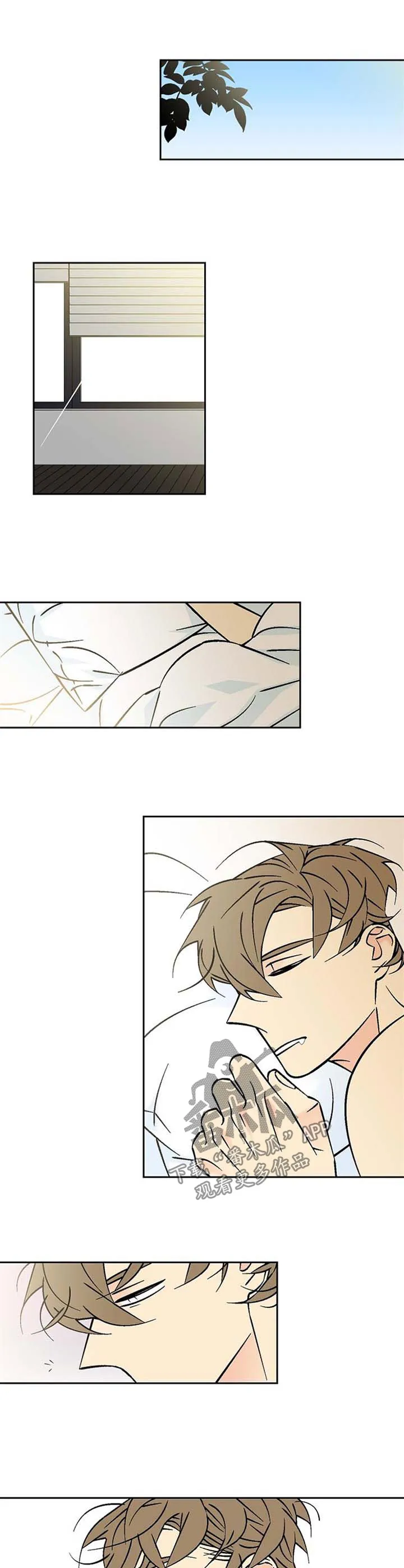 独家合同漫画9漫画,第81章：清醒6图