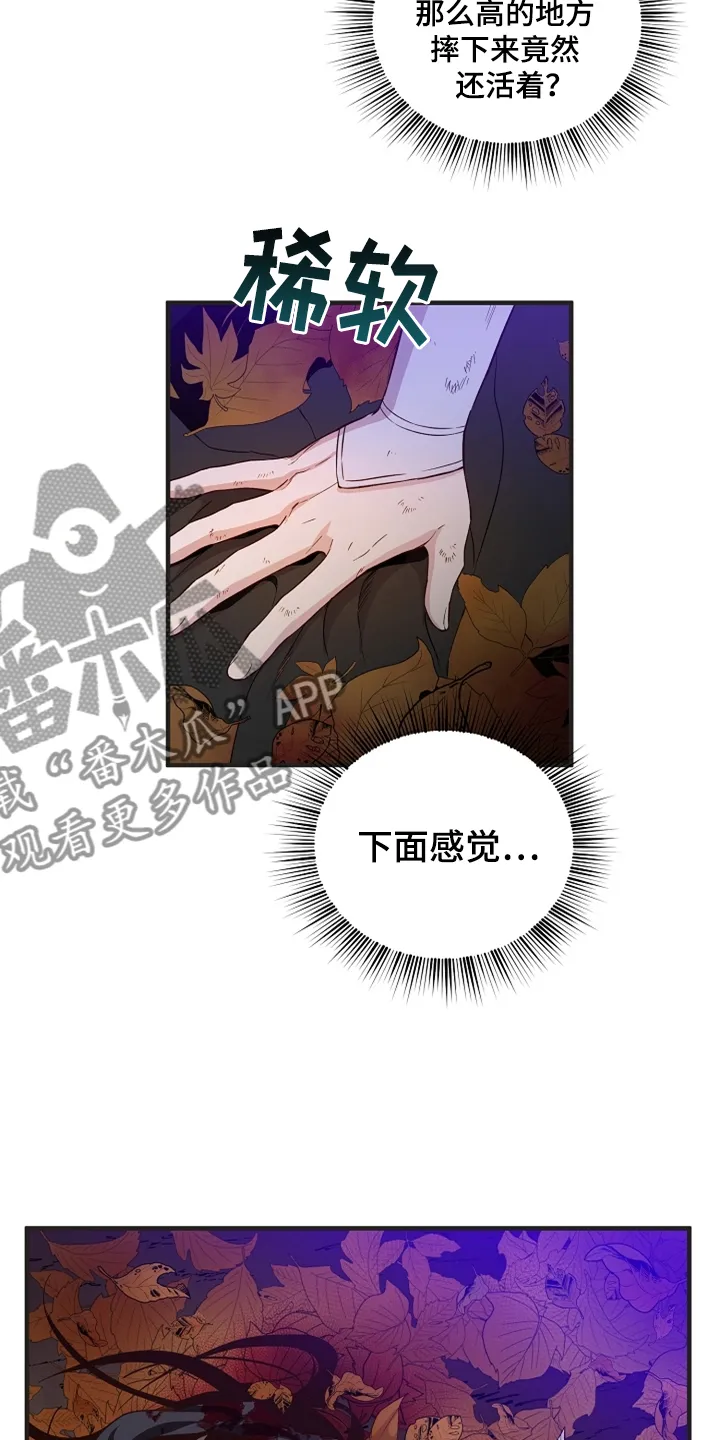醉意难言小说免费全文阅读漫画,第36章：山洞机缘2图