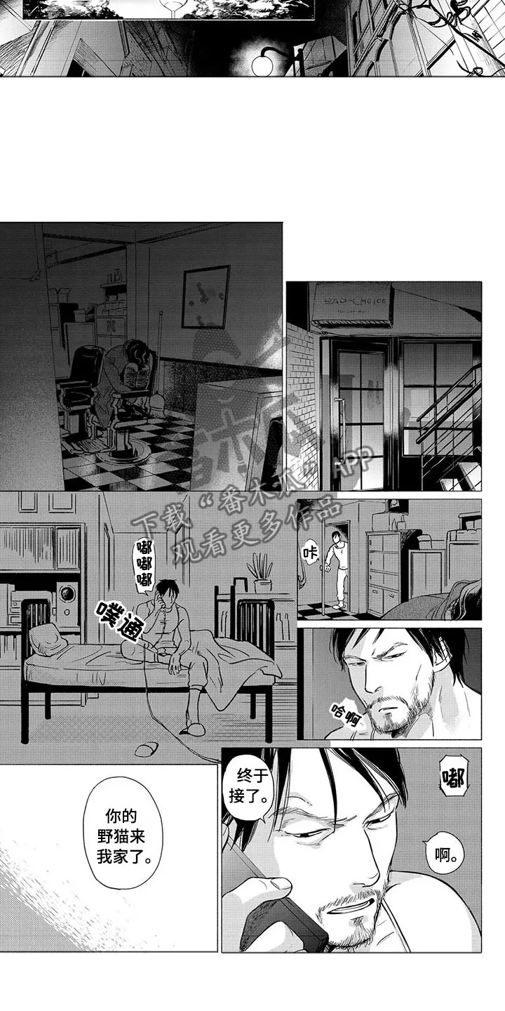 虎与羊漫画漫画,第22章：善后3图