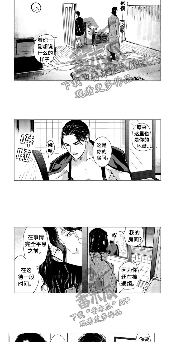 虎和兔的阐述漫画,第23章：落脚地8图