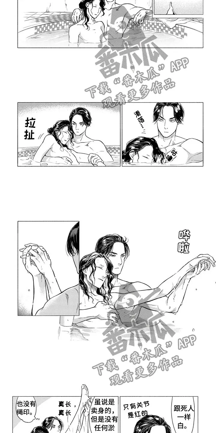 虎与卯兔漫画漫画,第21章：番外一2图