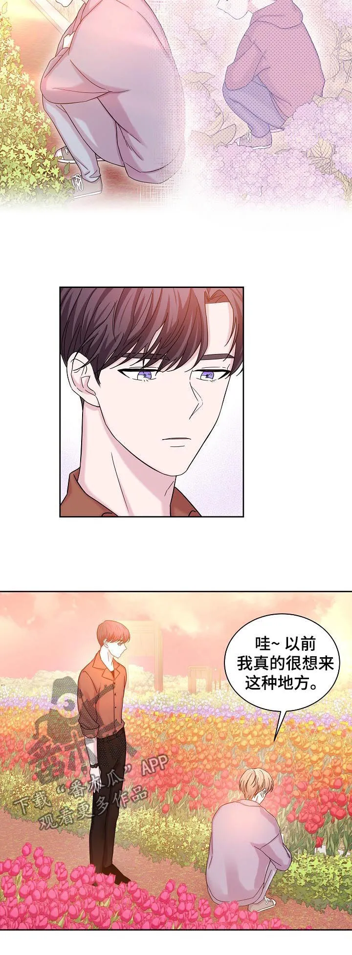 十次睡眠漫画漫画,第62章：花海5图