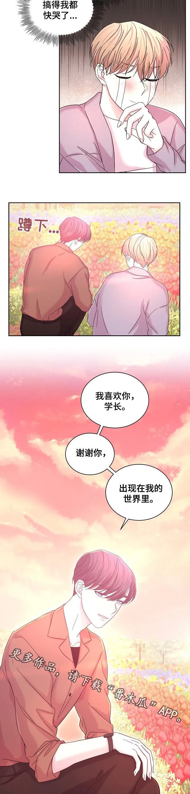 十次睡眠漫画漫画,第62章：花海10图