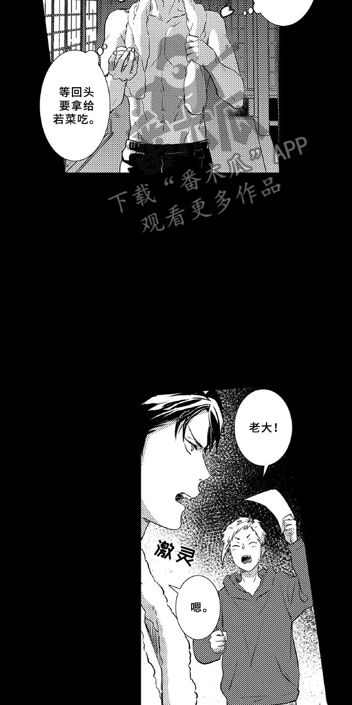 黑道之恋漫画漫画,第17章：走狗3图
