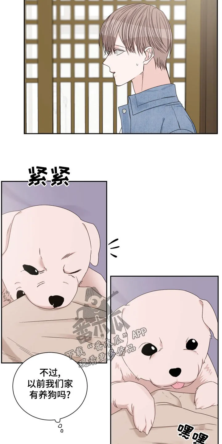 终点线漫画免费阅读漫画,第78章：【第二季】梦14图