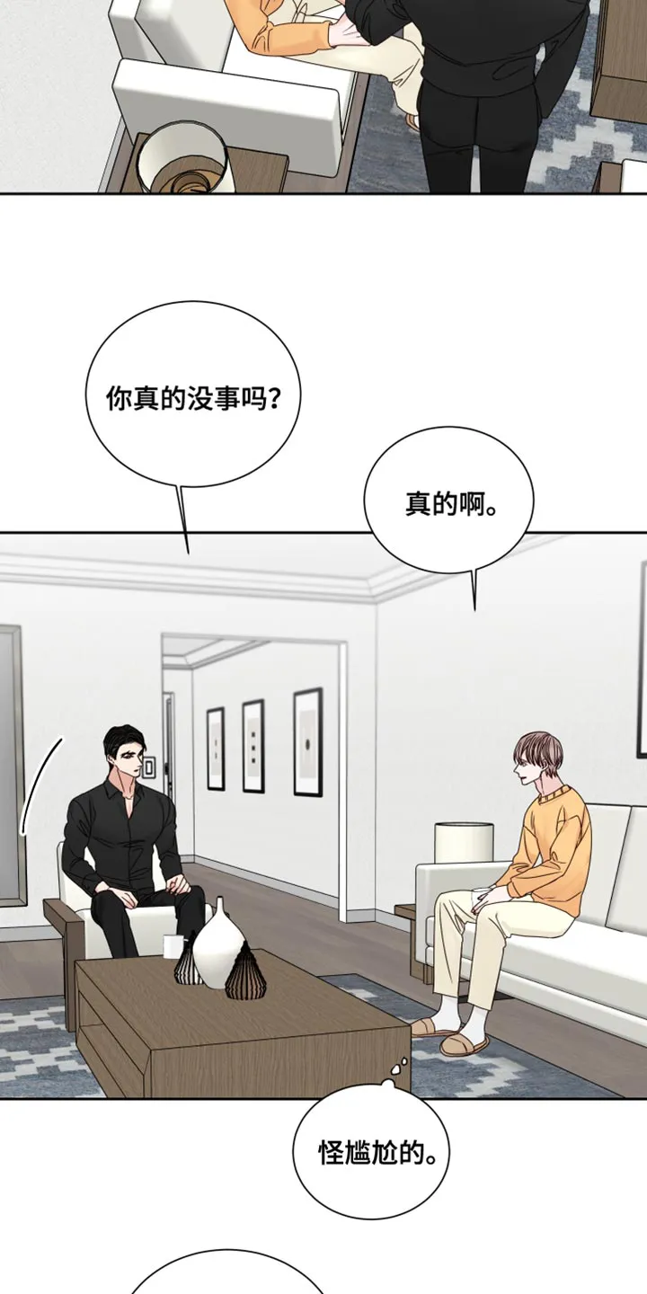 终点线怎么画?漫画,第111章：【番外】道歉12图