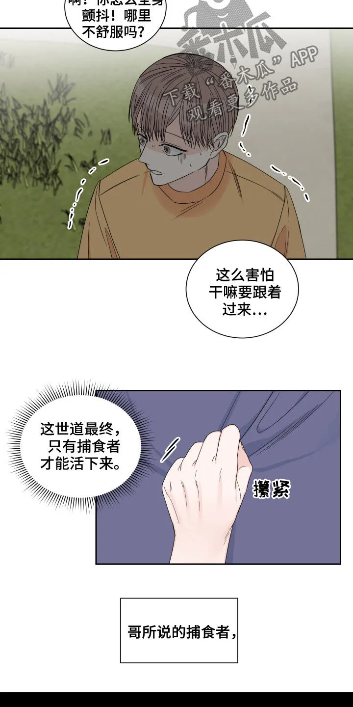 终点漫画免费观看漫画,第46章：捕食者14图