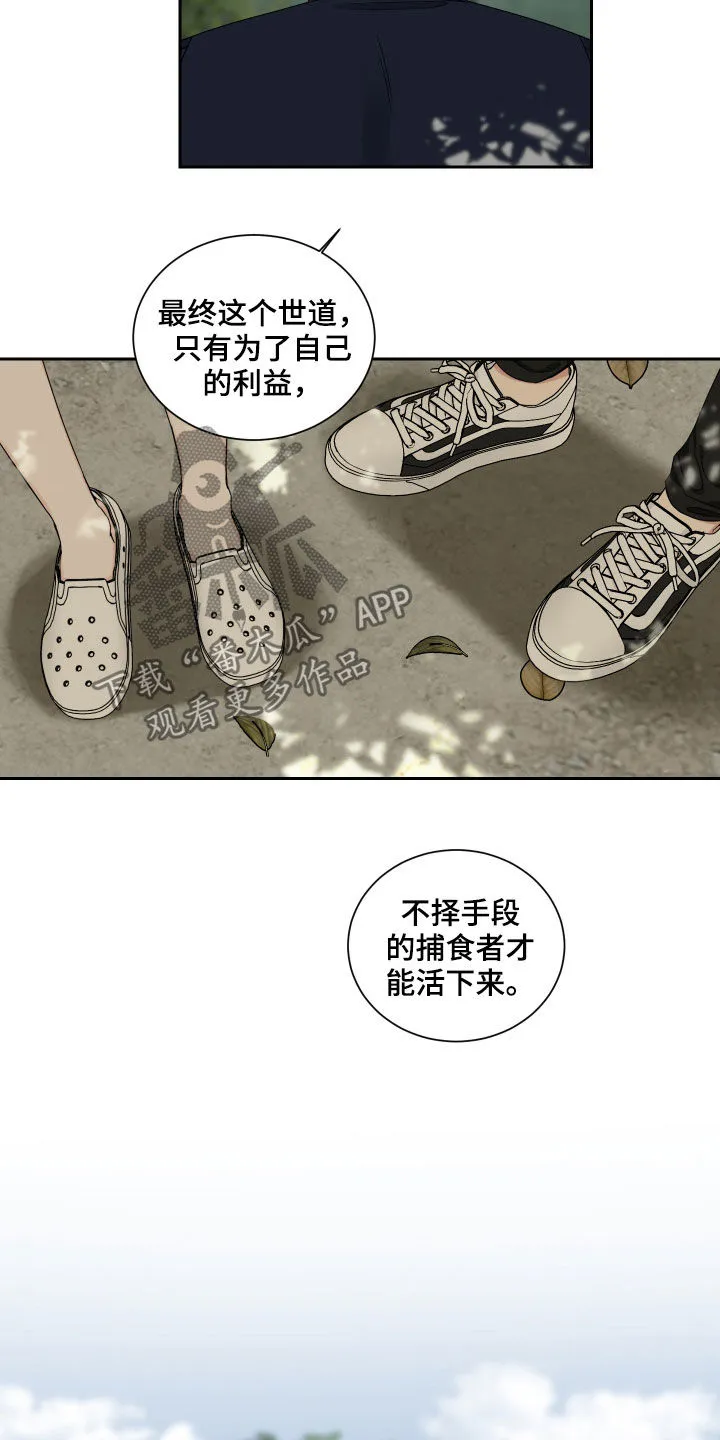 终点漫画免费观看漫画,第46章：捕食者10图