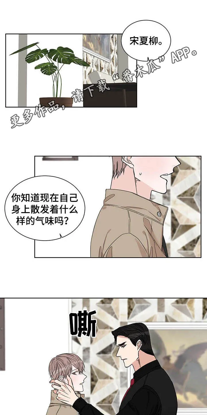 终点线漫画漫画,第23章：信息素1图