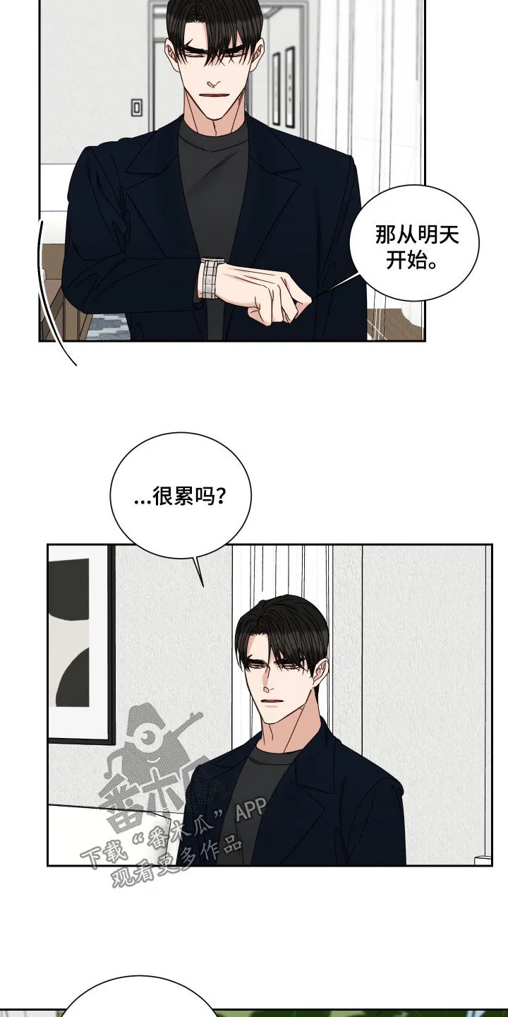 终点线漫画免费阅读漫画,第101章：【番外】出国10图