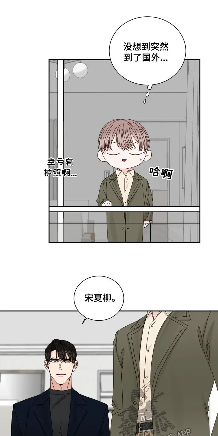 终点线漫画免费阅读漫画,第101章：【番外】出国8图