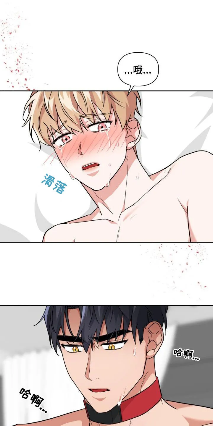 兽现文字漫画漫画,第78章：【第二季】权限7图
