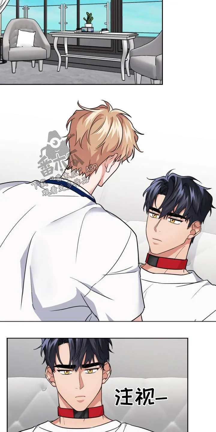 兽化文生成器漫画,第73章：【第二季】因为喜欢11图