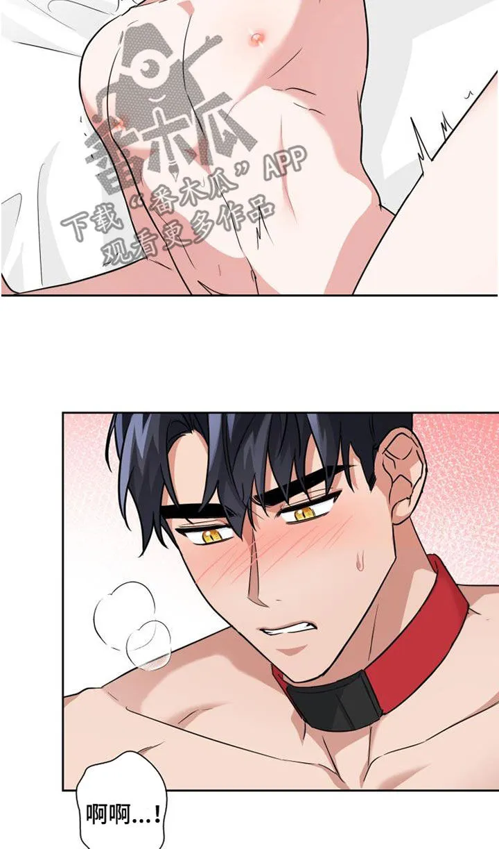 兽现文字漫画漫画,第78章：【第二季】权限26图