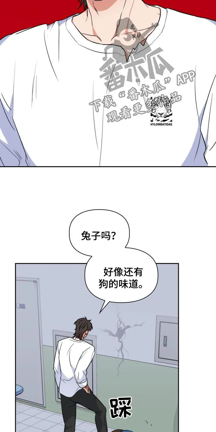 关于兽的漫画推荐漫画,第107章：【第二季】弱小23图