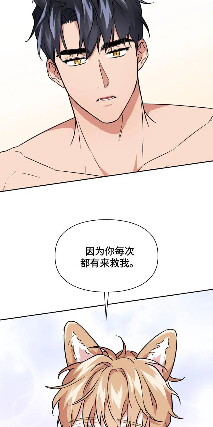关于兽的漫画推荐漫画,第117章：【第二季】证人25图