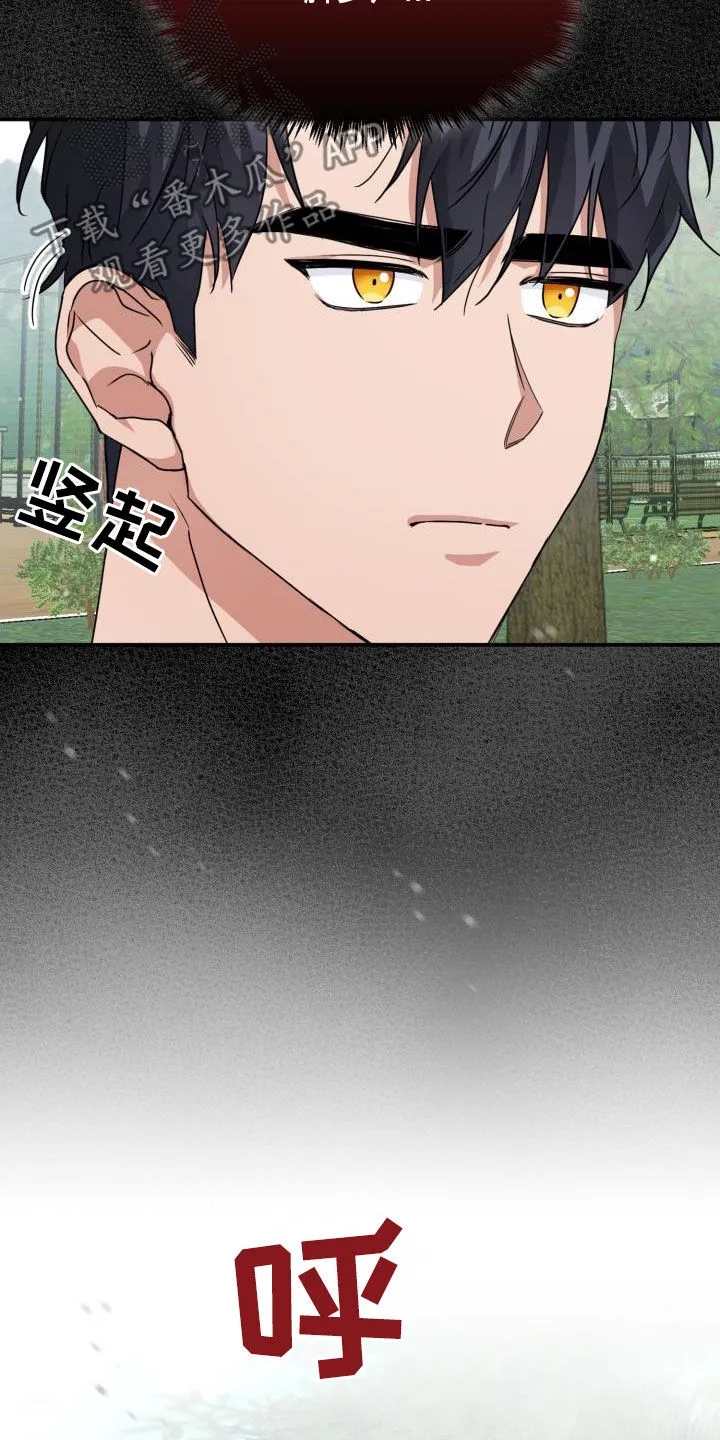 关于兽的漫画推荐漫画,第49章：味道16图