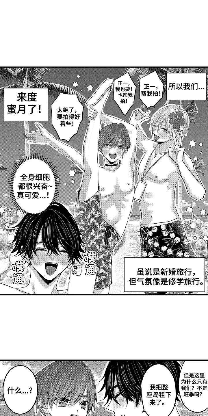 伪造报告漫画结局漫画,第93章：【第二季】蜜月度假2图