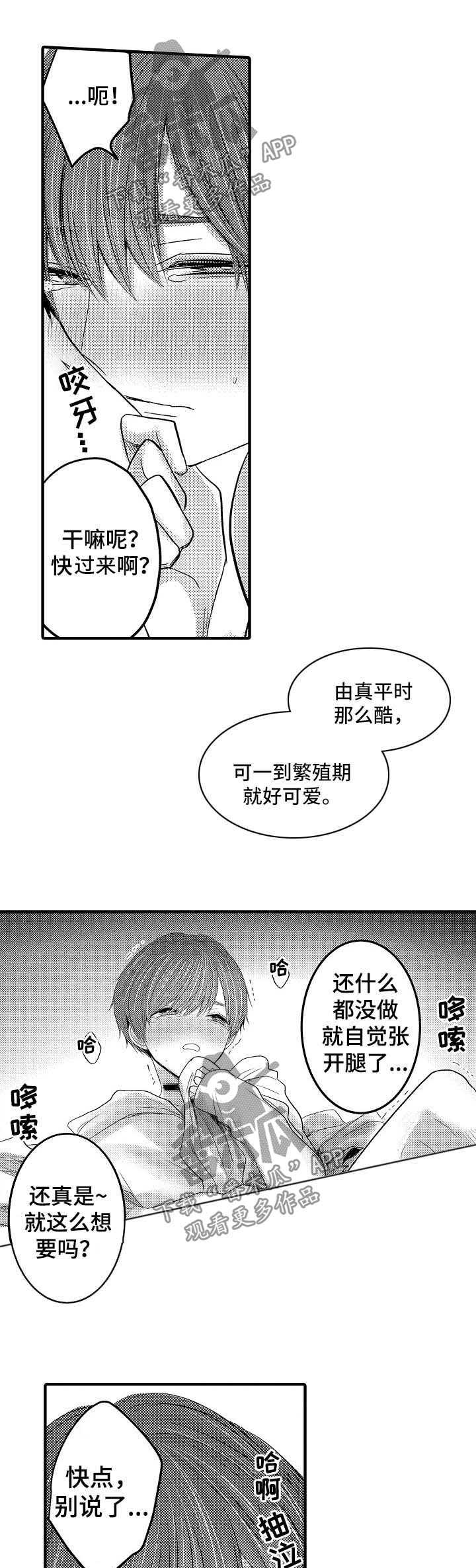 伪造报告漫画结局漫画,第49章：【第二季】我的妻子们6图