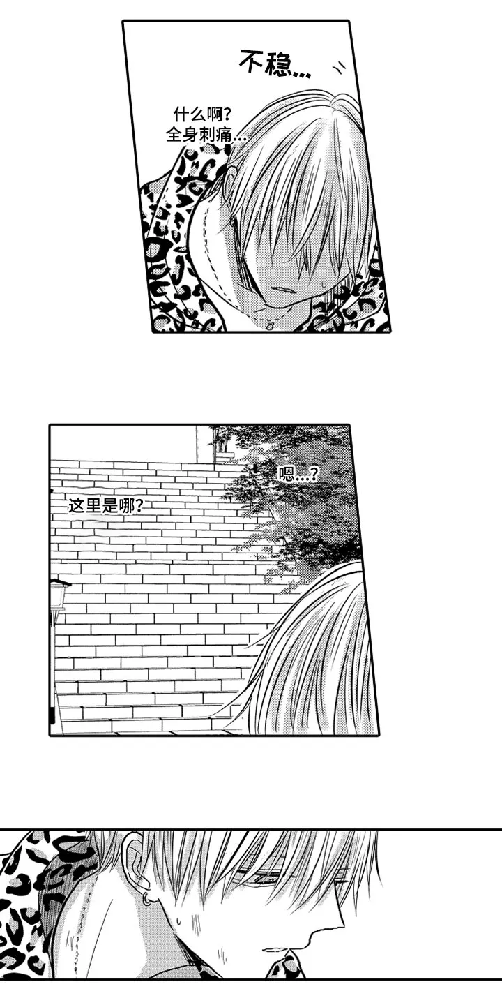 伪造报告漫画免费阅读完整版下拉式6漫画,第79章：【第二季】失忆7图