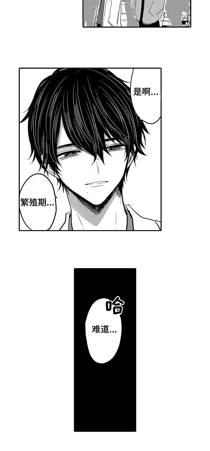 伪造报告漫画免费阅读完整版下拉式6漫画,第29章：寻找由真4图